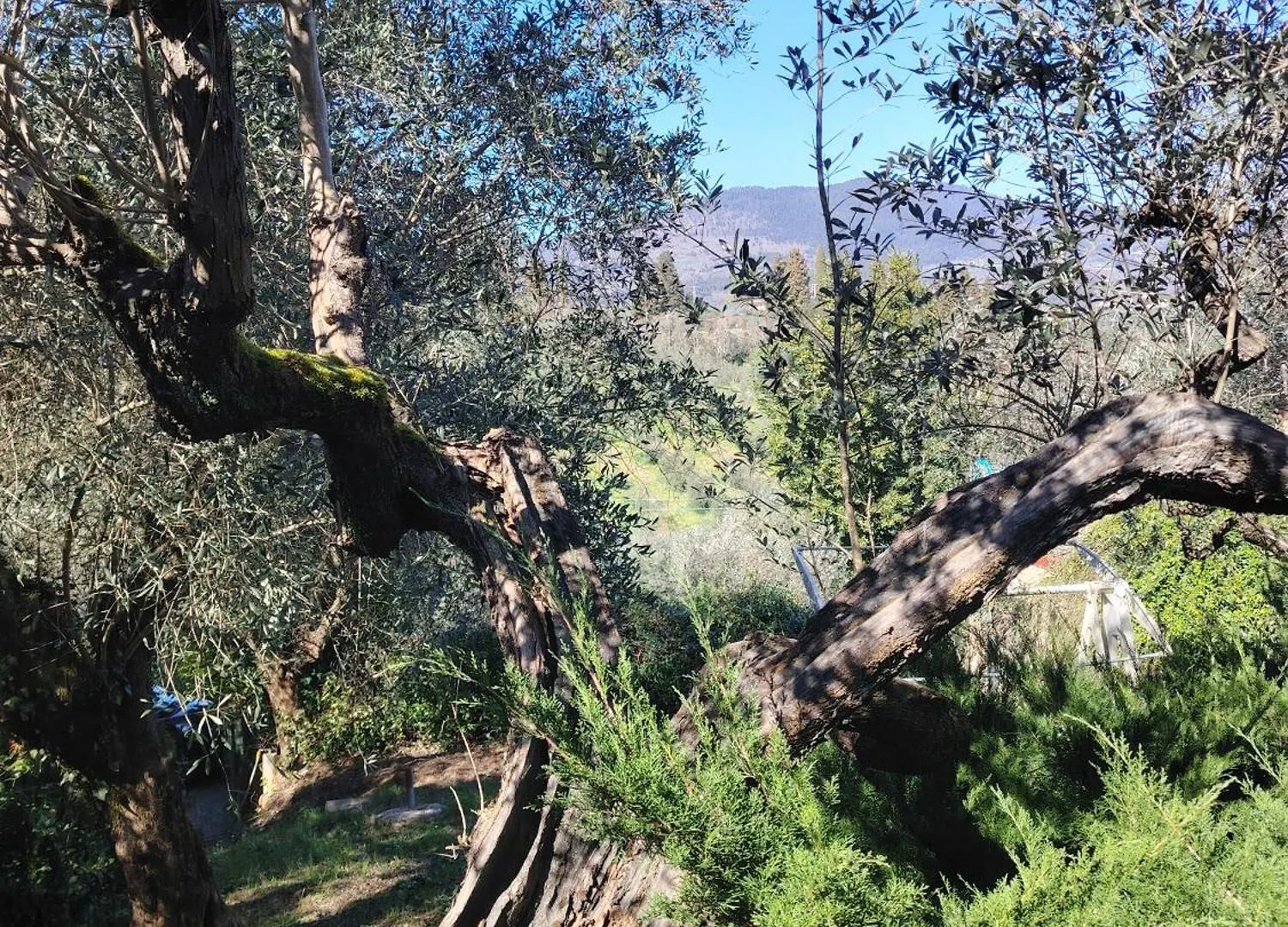 Campsite Turisti Nella Natura In Citta D'Arte Florence