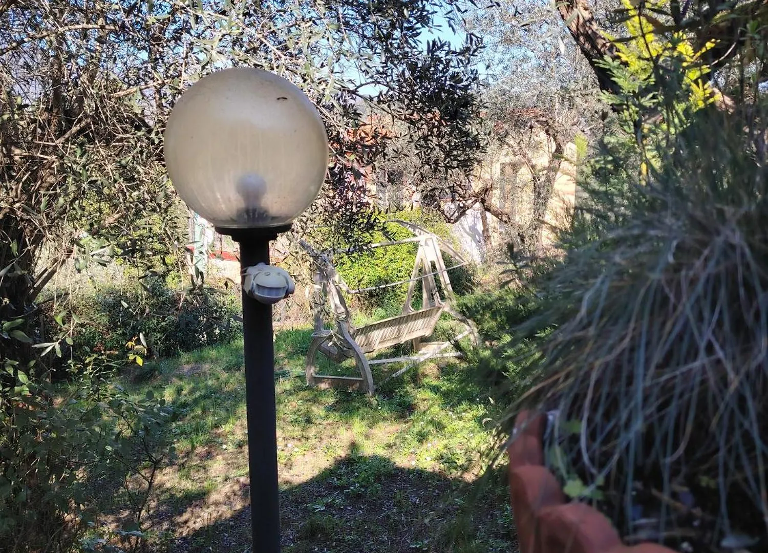 Turisti Nella Natura In Citta D'Arte Florence Campsite