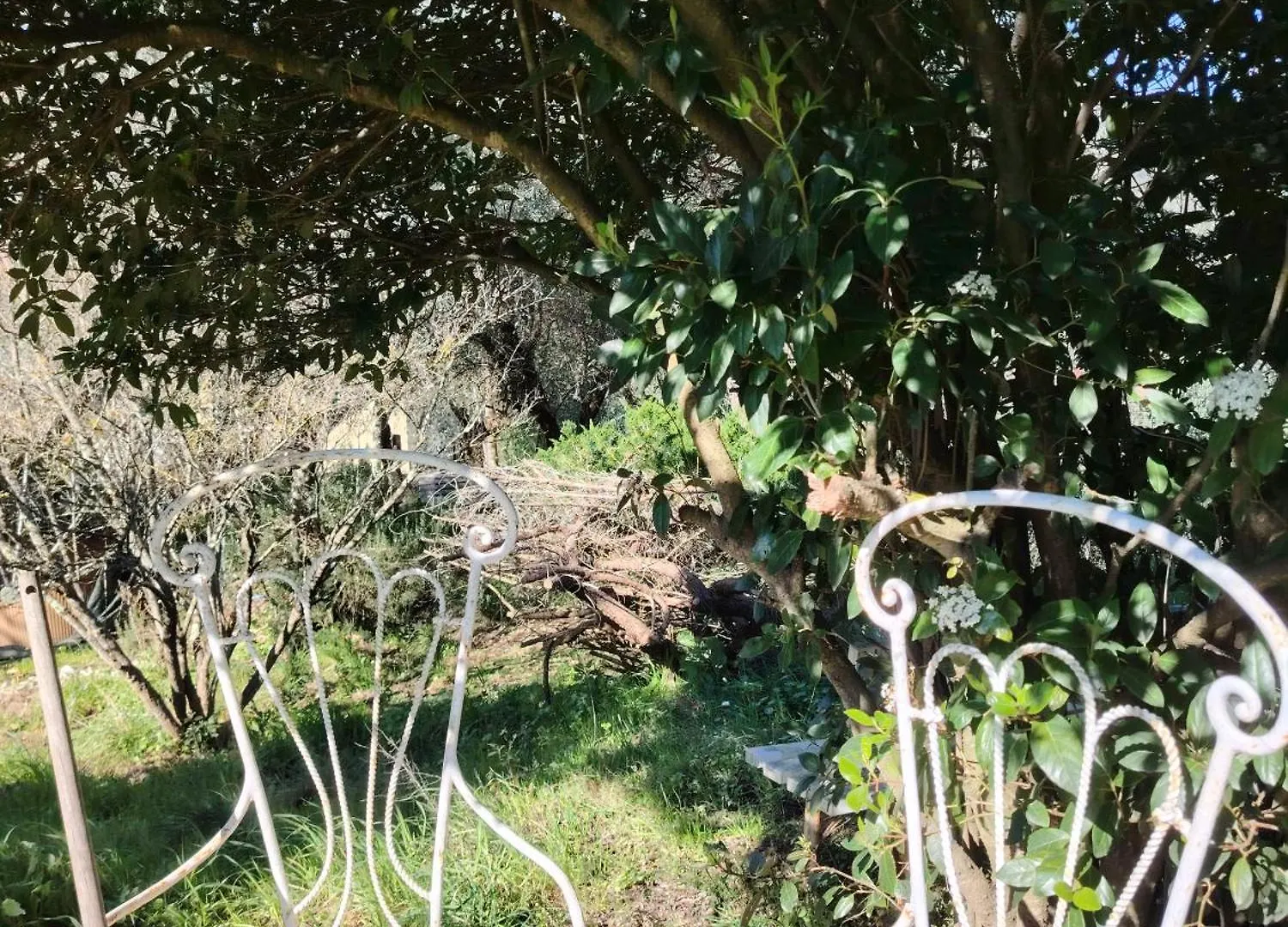 Campsite Turisti Nella Natura In Citta D'Arte Florence