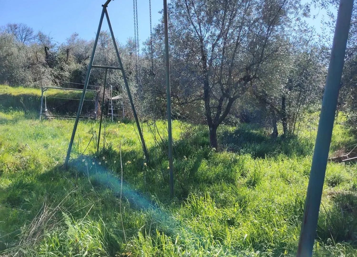 Turisti Nella Natura In Citta D'Arte Firenze 0*,  Italia