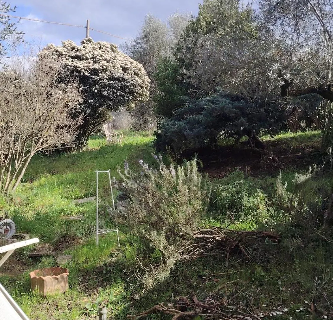 Campeggio Turisti Nella Natura In Citta D'Arte Firenze