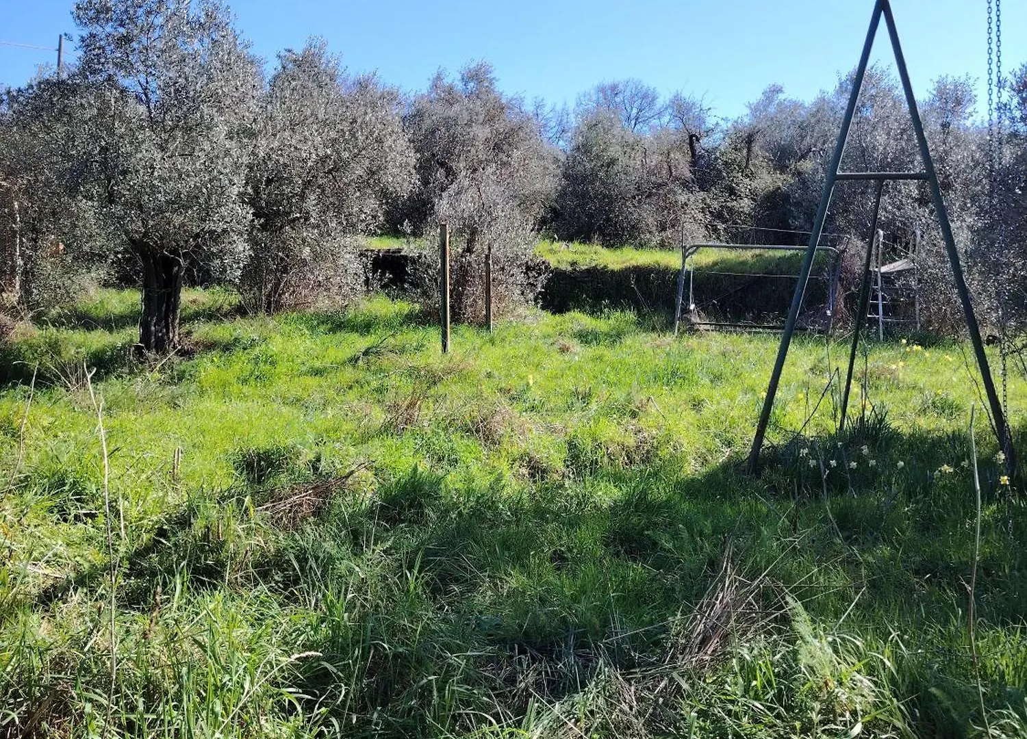 Turisti Nella Natura In Citta D'Arte Firenze